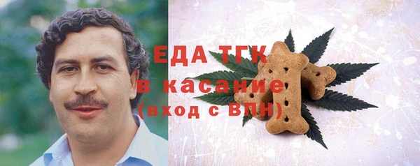 МДПВ Инсар