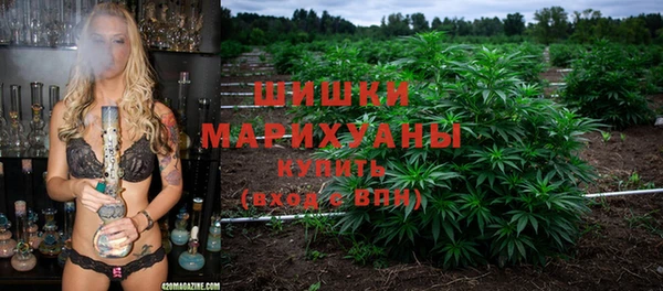спиды Иннополис