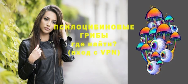 МДПВ Инсар