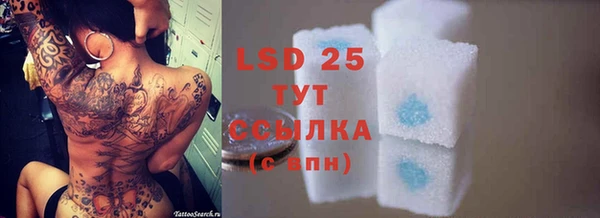 спиды Иннополис