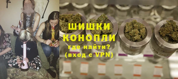 МДПВ Инсар